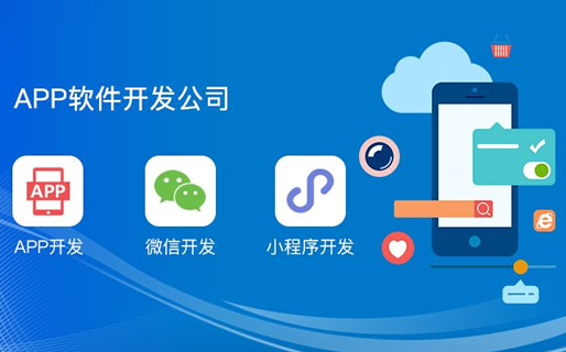 APP開發(fā)服務(wù)